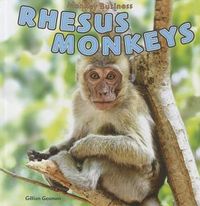 Cover image for Rhesus Monkeys