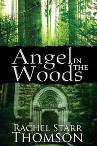 Cover image for Angel in the Woods