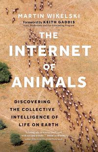 Cover image for The Internet of Animals