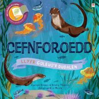 Cover image for Cyfres Goleuo'r Dudalen: Cefnforoedd