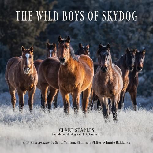 Cover image for The Wild Boys of Skydog