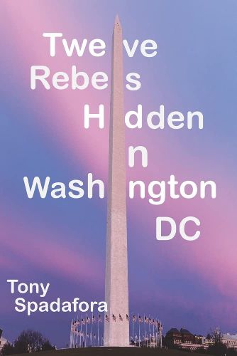 Cover image for Twelve Rebels Hidden in Washington, DC