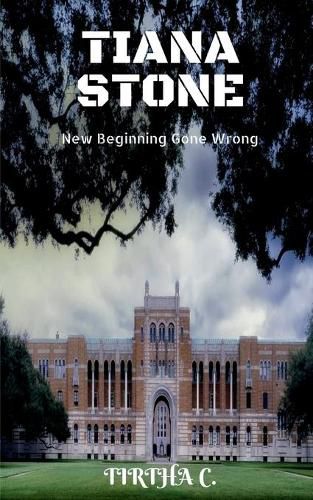 Cover image for Tiana Stone: New Beginning Gone Wrong