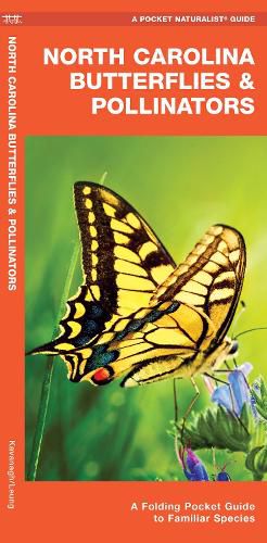 Cover image for North Carolina Butterflies & Pollinators: A Folding Pocket Guide to Familiar Species