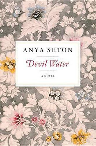 Cover image for Devil Water