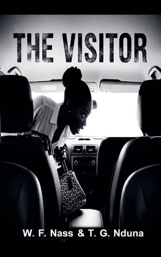 Cover image for The Visitor