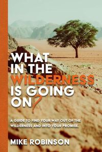 Cover image for What In The Wilderness Is Going On?