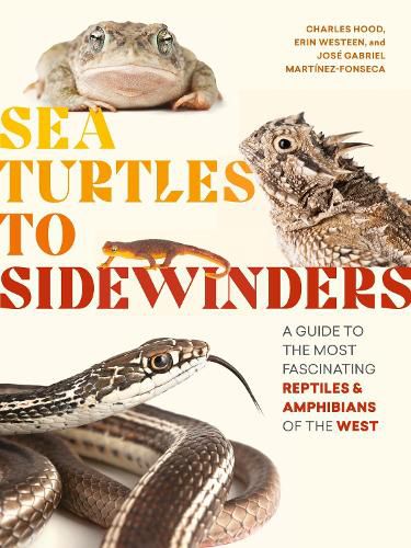 Sea Turtles to Sidewinders a Guide to the Most Fascinating Reptiles and Amphibians of the West