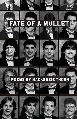 Cover image for Fate of a Mullet