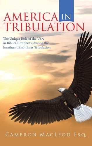 Cover image for America in Tribulation
