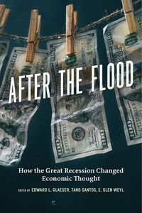Cover image for After the Flood: How the Great Recession Changed Economic Thought