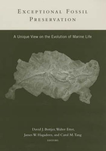 Cover image for Exceptional Fossil Preservation: A Unique View on the Evolution of Marine Life