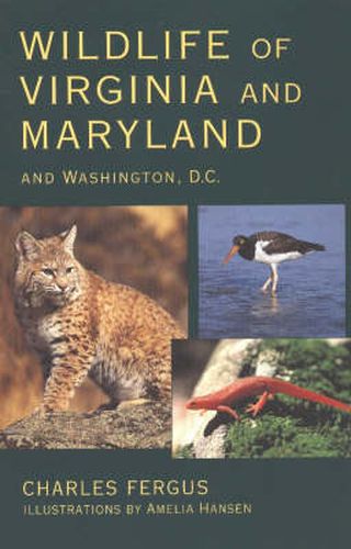 Cover image for Wildlife of Virginia and Maryland