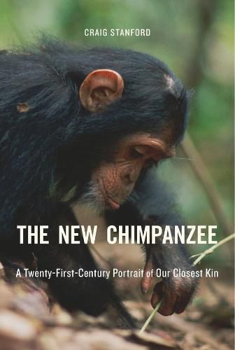 Cover image for The New Chimpanzee: A Twenty-First-Century Portrait of Our Closest Kin