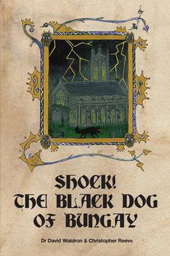 Cover image for Shock! The Black Dog of Bungay: A Case Study in Local Folklore