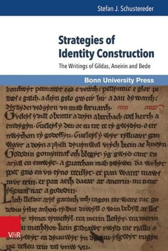 Cover image for Strategies of Identity Construction: The Writings of Gildas, Aneirin and Bede