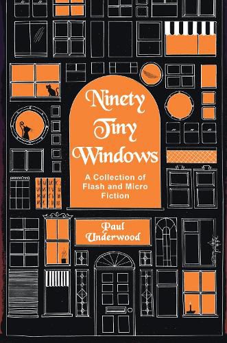 Cover image for Ninety Tiny Windows