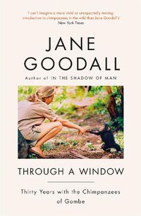 Cover image for Through A Window