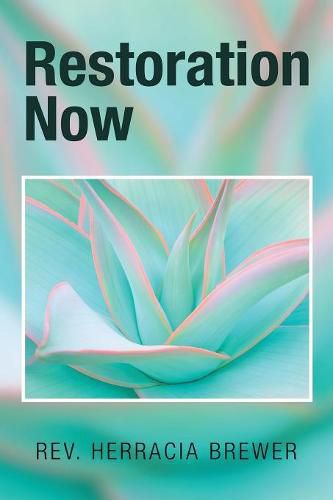 Cover image for Restoration Now