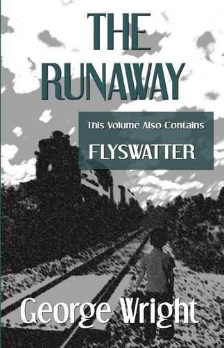 Cover image for The Runaway And Flyswatter