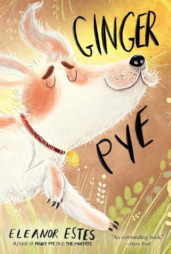 Cover image for Ginger Pye