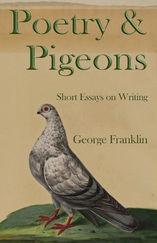 Cover image for Poetry & Pigeons