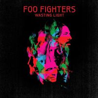 Cover image for Wasting Light