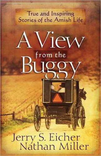 Cover image for A View from the Buggy: True and Inspiring Stories of the Amish Life