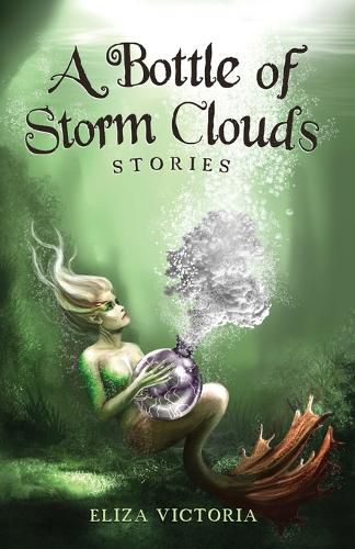 Cover image for A Bottle of Storm Clouds