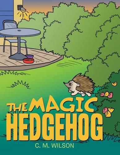 Cover image for The Magic Hedgehog