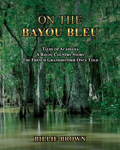 Cover image for On the Bayou Bleu