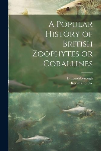Cover image for A Popular History of British Zoophytes or Corallines