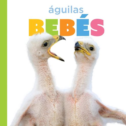 Cover image for Aguilas Bebes