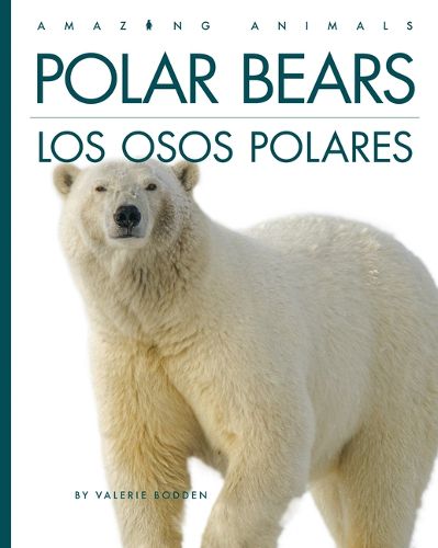 Cover image for Polar Bears / Los Osos Polares