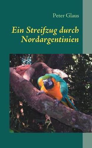 Cover image for Ein Streifzug durch Nordargentinien: Argentinien....kennen und lieben lernen