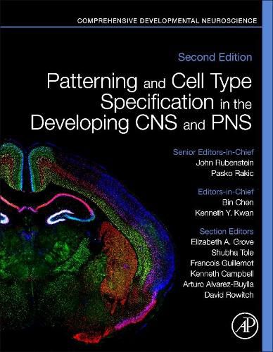 Patterning and Cell Type Specification in the Developing CNS and PNS: Comprehensive Developmental Neuroscience