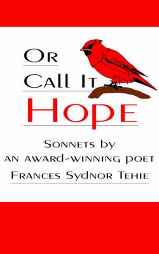 Cover image for Or Call It Hope