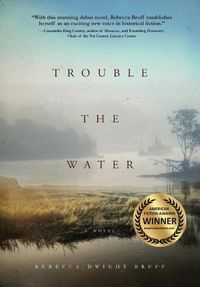 Cover image for Trouble The Water