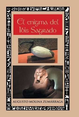 Cover image for El enigma del ibis sagrado