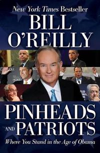 Cover image for Pinheads and Patriots: Where You Stand in the Age of Obama