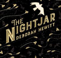 Cover image for The Nightjar