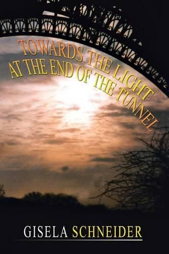 Cover image for Towards the Light at the End of the Tunnel