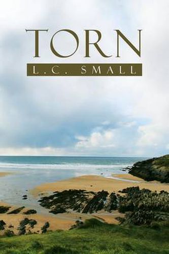 Cover image for Torn