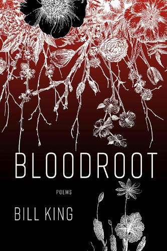 Bloodroot