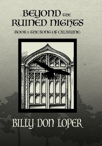 Cover image for Beyond the Ruined Nights