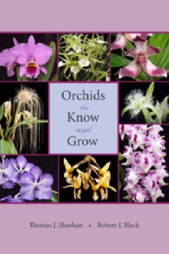 Cover image for Orchids to Know and Grow