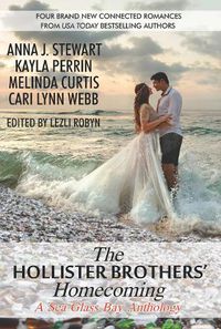 Cover image for The Hollister Brothers' Homecoming