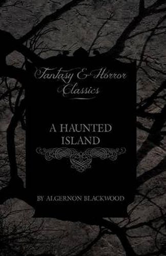 Cover image for A Haunted Island (Fantasy and Horror Classics)