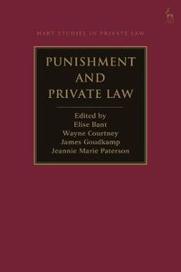 Cover image for Punishment and Private Law