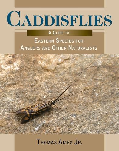 Cover image for Caddisflies: A Guide to Eastern Species for Anglers and Other Naturalists